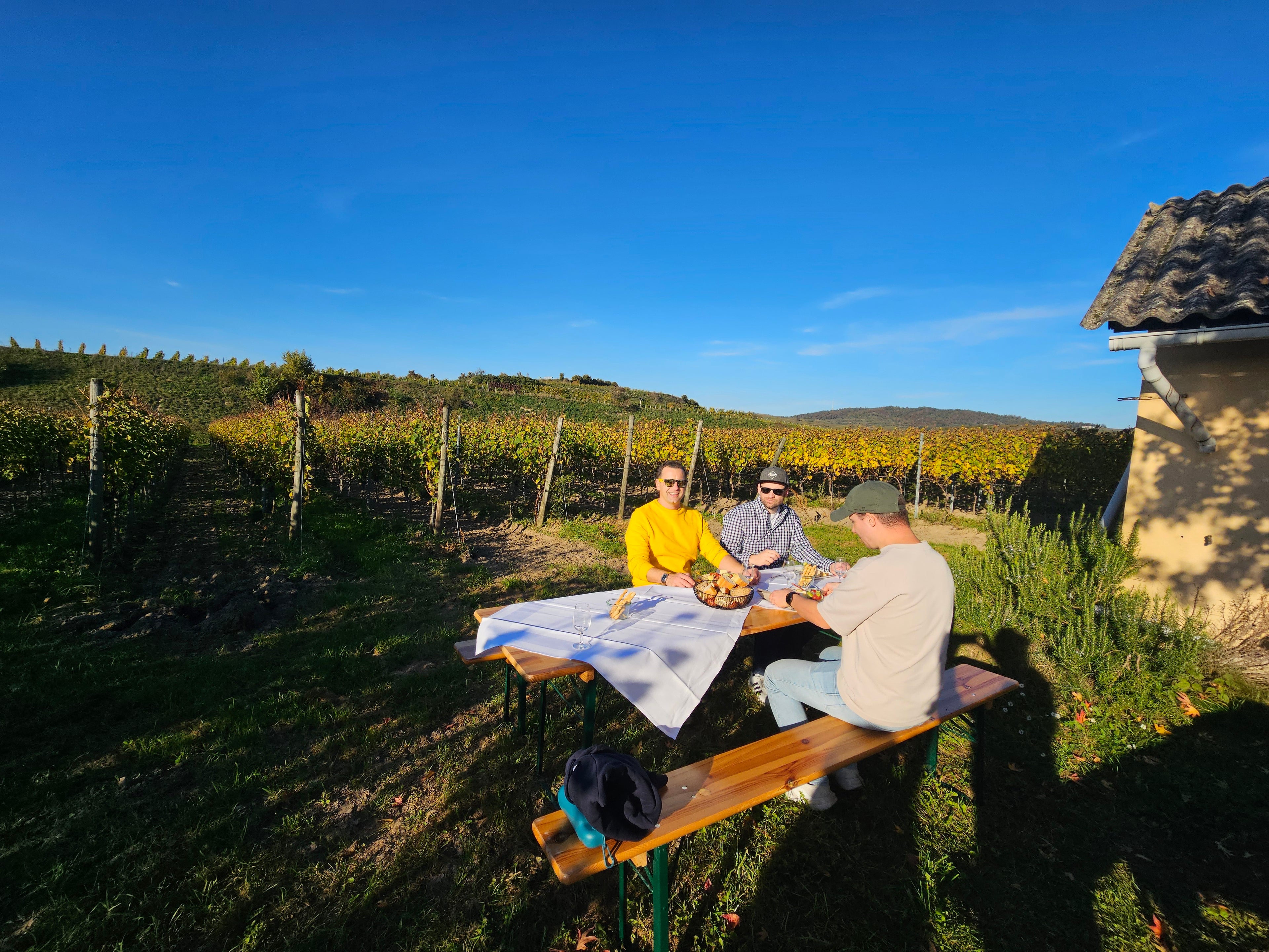 Weinspaziergang & Menü