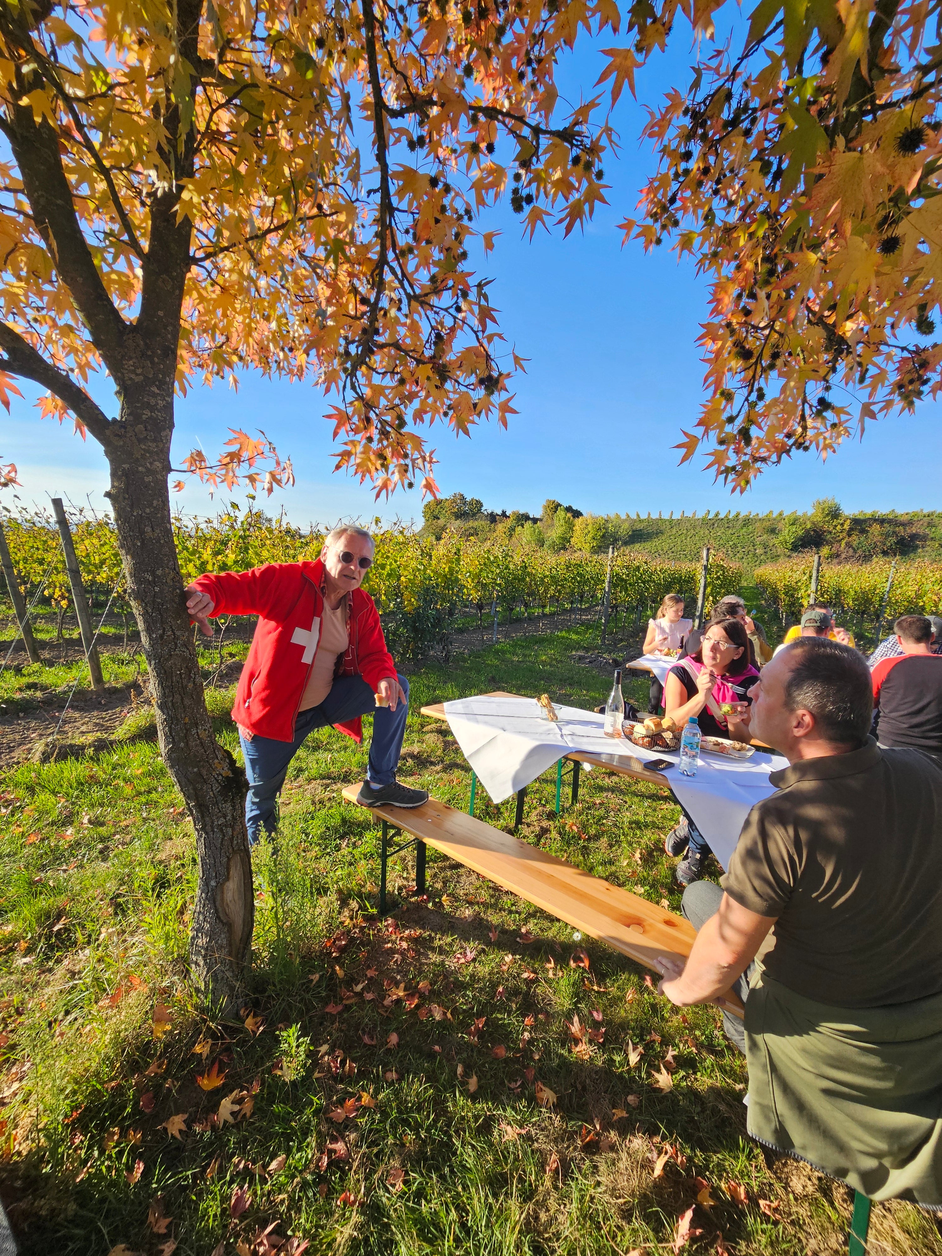 Weinspaziergang & Menü