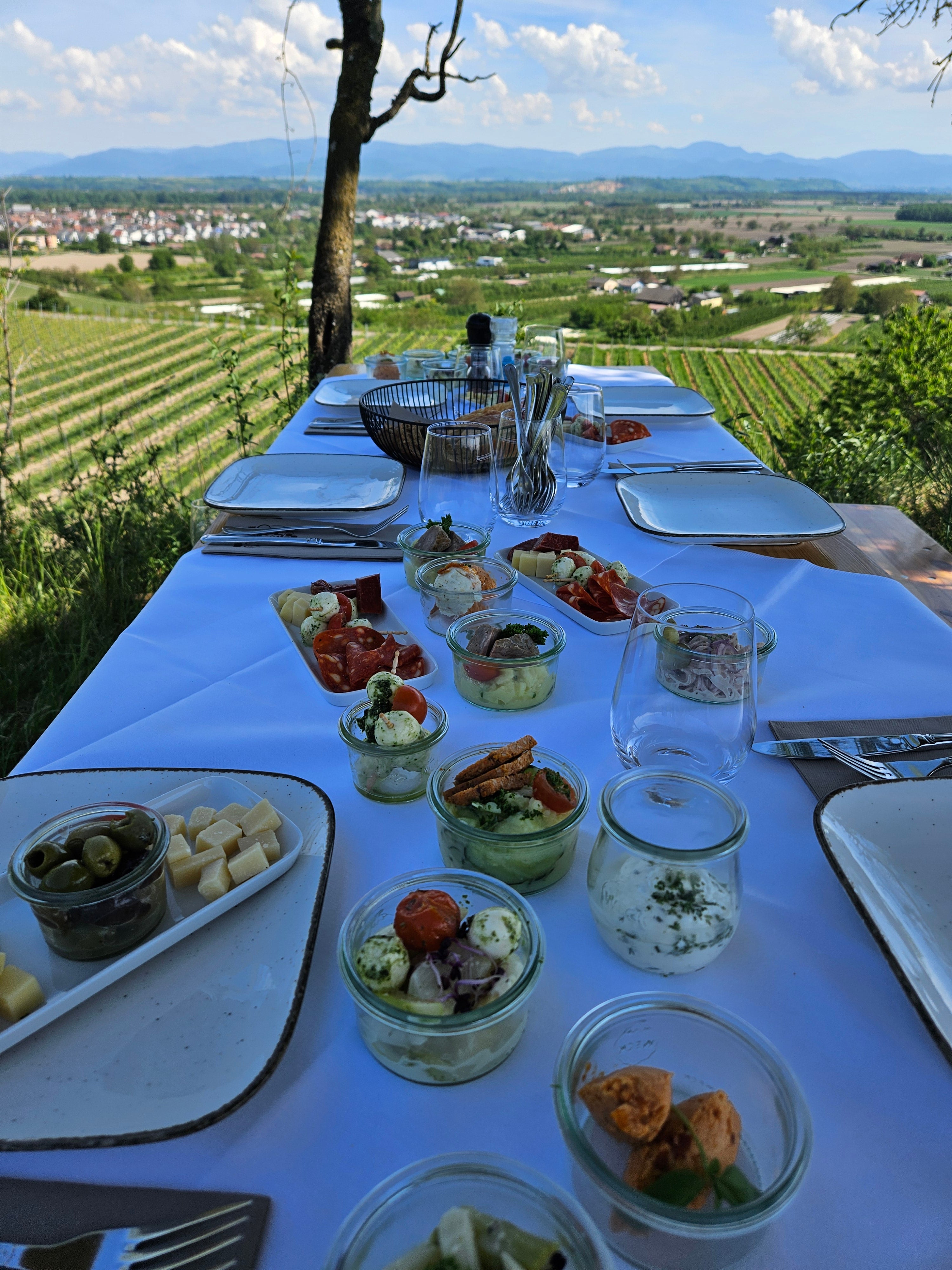 Geheimes Weinberge Picknick "Tischlein deck dich" ab 8 Personen