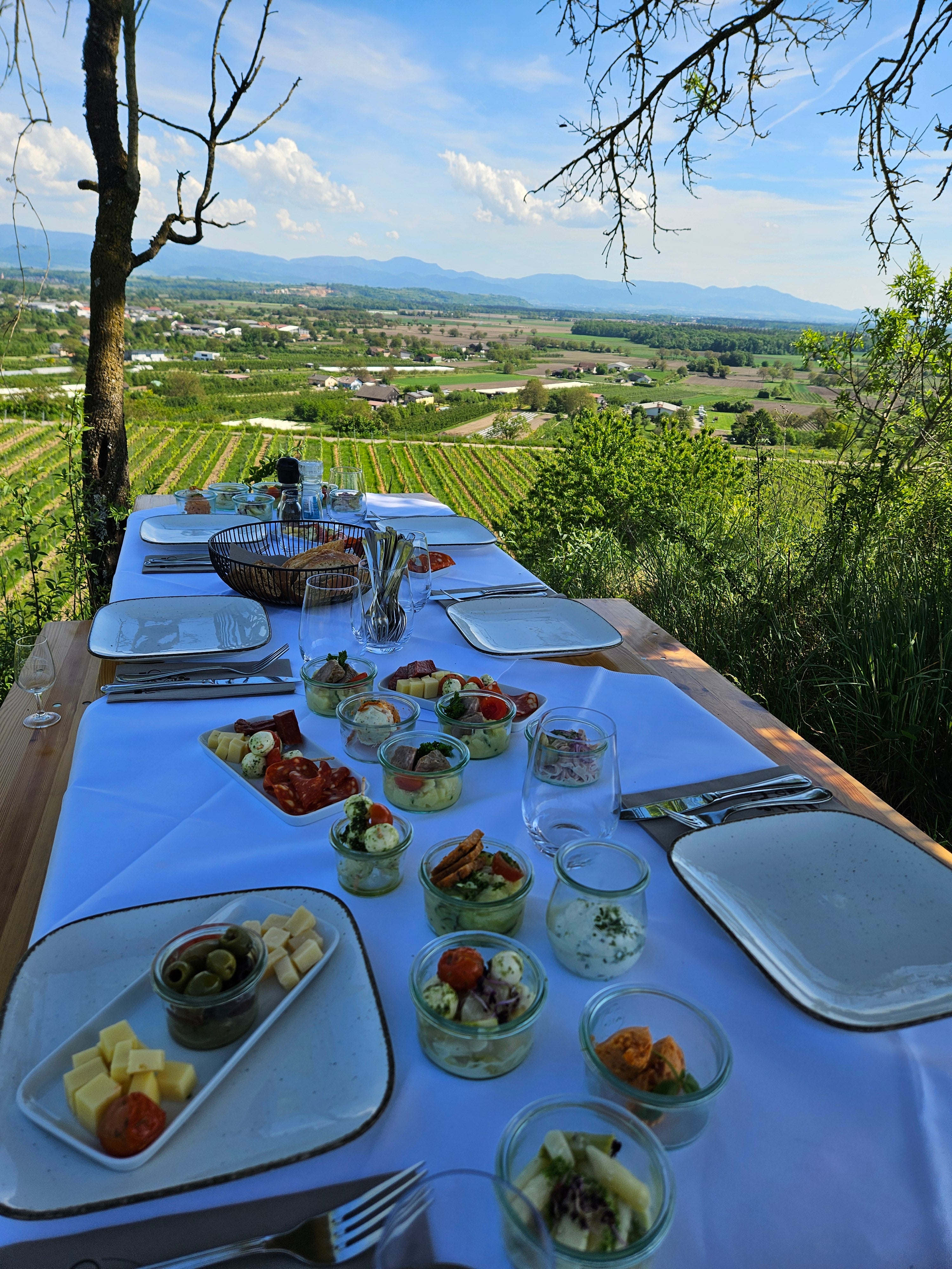 Geheimes Weinberge Picknick "Tischlein deck dich" ab 8 Personen